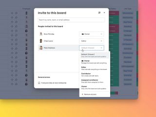Granular board roles for enterprise accounts