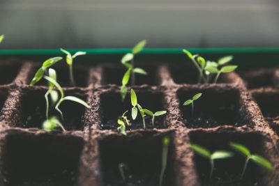 Announcing a 50% discount for nonprofits on all our monday.com apps